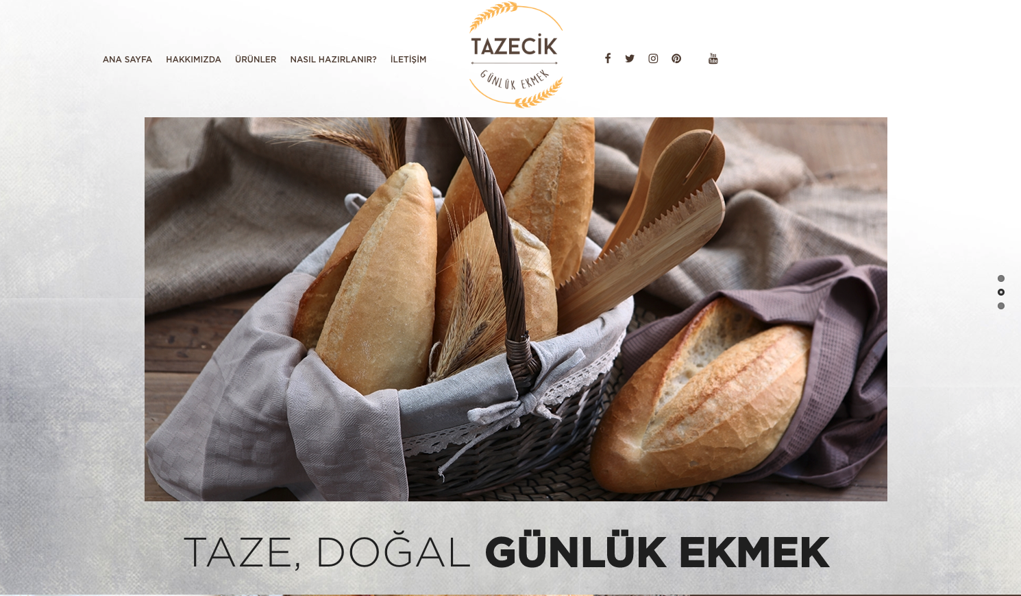 tazecikgida.com